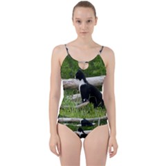 Farm Cat Cut Out Top Tankini Set by IIPhotographyAndDesigns