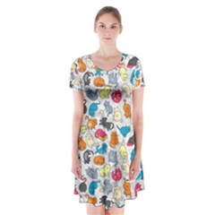 Funny Cute Colorful Cats Pattern Short Sleeve V-neck Flare Dress by EDDArt