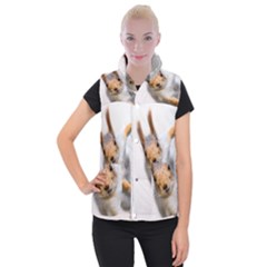 Curious Squirrel Women s Button Up Vest by FunnyCow