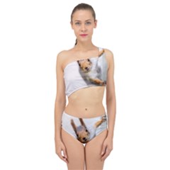 Curious Squirrel Spliced Up Two Piece Swimsuit by FunnyCow