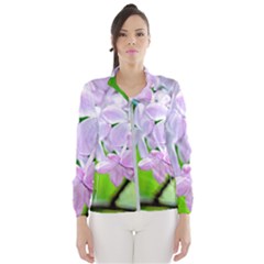 Elegant Pink Lilacs In Spring Windbreaker (women) by FunnyCow