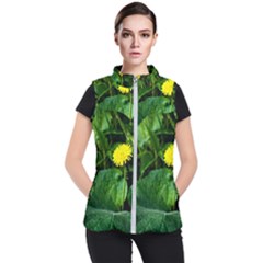 Yellow Dandelion Flowers In Spring Women s Puffer Vest by FunnyCow