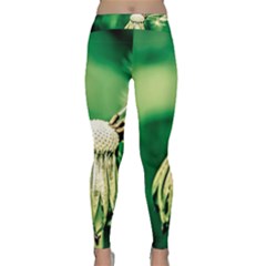 Dandelion Flower Green Chief Classic Yoga Leggings by FunnyCow