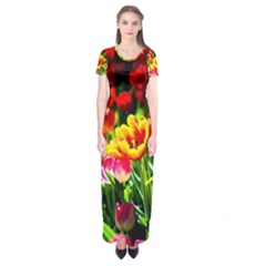 Colorful Tulips On A Sunny Day Short Sleeve Maxi Dress by FunnyCow