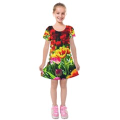 Colorful Tulips On A Sunny Day Kids  Short Sleeve Velvet Dress by FunnyCow