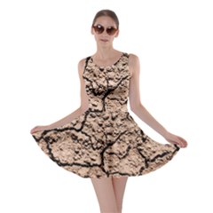 Earth  Light Brown Wet Soil Skater Dress by FunnyCow