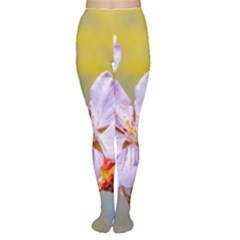 Sakura Flowers On Yellow Women s Tights by FunnyCow
