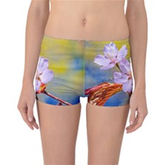 Sakura Flowers On Yellow Reversible Boyleg Bikini Bottoms by FunnyCow