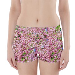 Almond Tree In Bloom Boyleg Bikini Wrap Bottoms by FunnyCow