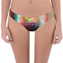 Eating Lunch 3d Reversible Hipster Bikini Bottoms