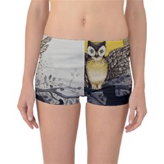 Owl 1462736 1920 Reversible Boyleg Bikini Bottoms by vintage2030