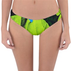 Window Of Opportunity Reversible Hipster Bikini Bottoms by FunnyCow