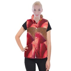 Three Red Apples Women s Button Up Vest by FunnyCow