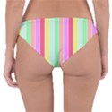 Pastel Rainbow Sorbet Deck Chair Stripes Reversible Hipster Bikini Bottoms View4