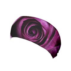 Plant Rose Flower Petals Nature Yoga Headband by Sapixe