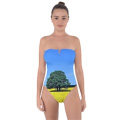 Tree In Field Tie Back One Piece Swimsuit by Alisyart