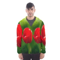 Three Red Tulips, Green Background Hooded Windbreaker (men) by FunnyCow