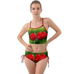 Three Red Tulips, Green Background Mini Tank Bikini Set by FunnyCow