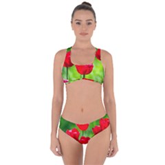 Red Tulip Flowers, Sunny Day Criss Cross Bikini Set by FunnyCow