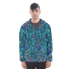 Peacocks Hooded Windbreaker (men)