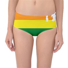 Usa Lgbt Flag Map Mid-waist Bikini Bottoms by abbeyz71