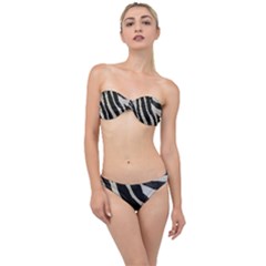 Zebra 2 Print Classic Bandeau Bikini Set by NSGLOBALDESIGNS2