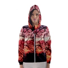 October Sunset Hooded Windbreaker (women) by bloomingvinedesign