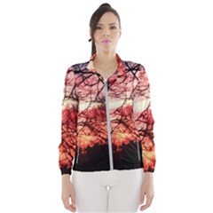 October Sunset Windbreaker (women) by bloomingvinedesign