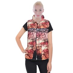 October Sunset Women s Button Up Vest by bloomingvinedesign