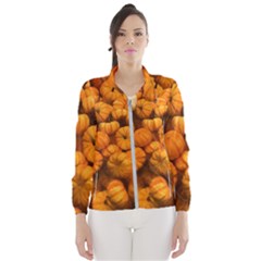 Pumpkins Tiny Gourds Pile Windbreaker (women) by bloomingvinedesign