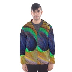 Bird Feather Background Nature Hooded Windbreaker (men) by Sapixe