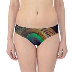 Bird Feather Background Nature Hipster Bikini Bottoms by Sapixe