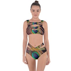 Bird Feather Background Nature Bandaged Up Bikini Set  by Sapixe