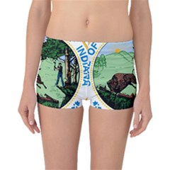 Great Seal Of Indiana Boyleg Bikini Bottoms by abbeyz71