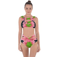 Plant Flower Flowers Design Leaves Bandaged Up Bikini Set  by Sapixe