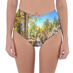 Landscape # 2 The Path Reversible High-waist Bikini Bottoms by ArtworkByPatrick