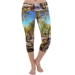 Landscape # 2 The Path Capri Yoga Leggings by ArtworkByPatrick