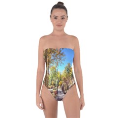 Landscape # 2 The Path Tie Back One Piece Swimsuit by ArtworkByPatrick