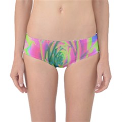 Lime Green And Pink Succulent Sedum Rosette Classic Bikini Bottoms by myrubiogarden