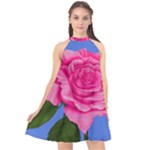 Roses Collections Halter Neckline Chiffon Dress 
