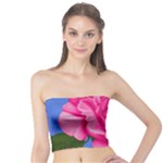 Roses Collections Tube Top