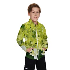 Elegant Chartreuse Green Limelight Hydrangea Macro Windbreaker (kids) by myrubiogarden