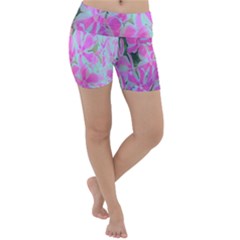 Hot Pink And White Peppermint Twist Garden Phlox Lightweight Velour Yoga Shorts by myrubiogarden