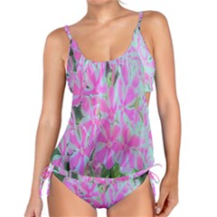 Hot Pink And White Peppermint Twist Garden Phlox Tankini Set by myrubiogarden