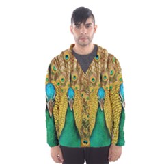 Peacock Feather Bird Peafowl Hooded Windbreaker (men) by Wegoenart