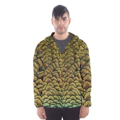 Peacock Bird Feather Color Hooded Windbreaker (men) by Wegoenart