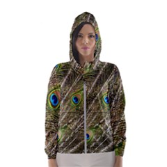 Peacock Feathers Color Plumag Hooded Windbreaker (women) by Wegoenart