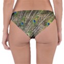 Peacock Feathers Color Plumag Reversible Hipster Bikini Bottoms View4