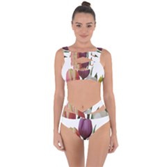 Tulips Bouquet Bandaged Up Bikini Set  by picsaspassion