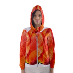 Red Tulip And Black Stripes Hooded Windbreaker (women) by picsaspassion